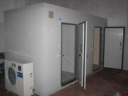 100mm thickness Customized White Colorbond Commercial Cold Rooms 220V 380V Freezer Storage Room