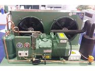Bitzer 4PES-15Y Semi Hermetic Condensing Unit 15HP Refrigeration Unit For Cold Room
