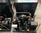 HFC R404a Freezer Room Refrigeration Unit ZSI09KQE 3HP Low Temp -23℃