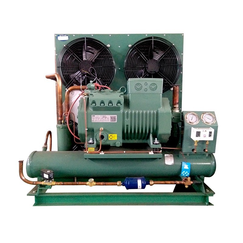 R404a 4VES10Y Cold Room 10HP Bitzer Condensing Unit