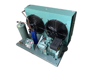4EES 4 4EES 4Y Air cooled condensing unit for frezeer and refrigerator with Bitzer compressor