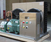 Germany  brand 4GE-30Y(30HP) R404a Air-Cooled Refrigertion Condensing Unit for Cold Room Refrigeration system