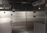 Colorbond Deep Freezer Cold Room 304 Stainless Steel Freezer Cold Storage
