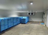 High / Low Temperature 42KG/M3 Walk In Coldroom White Colorbond