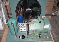 R134a R407 Air Cooled Refrigeration Unit 3210W Freezer Room Condensing Unit
