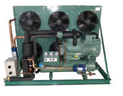 Bitzer 20HP Octagonal Air Cooled Refrigeration Unit 4NES-20Y Cold Storage Condenser