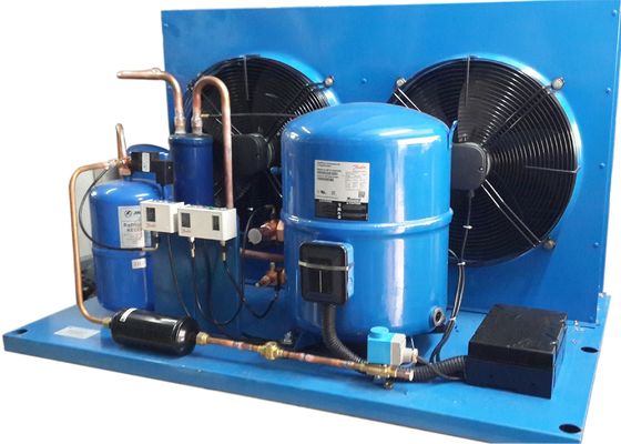 France Maneurop Hermetic Air-Cooled Refrigertion Unit,Customized Air-Cooled Condensing Unit Used For Coldroom Storage