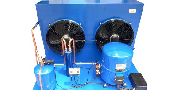 France Maneurop Hermetic Air-Cooled Refrigertion Unit,Customized Air-Cooled Condensing Unit Used For Coldroom Storage