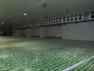 Bespoke Cold Rooms 100mm Panel Vegetable Cold Storage Room