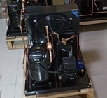 2HP 220V Air Cooled Refrigeration Unit R404a Low Noise 50Hz  FH2480Z