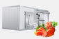 42KG/M3 Seafood Cold And Freezer Rooms 1.0mm 1.5mm Steel Fruit Cold Storage Room